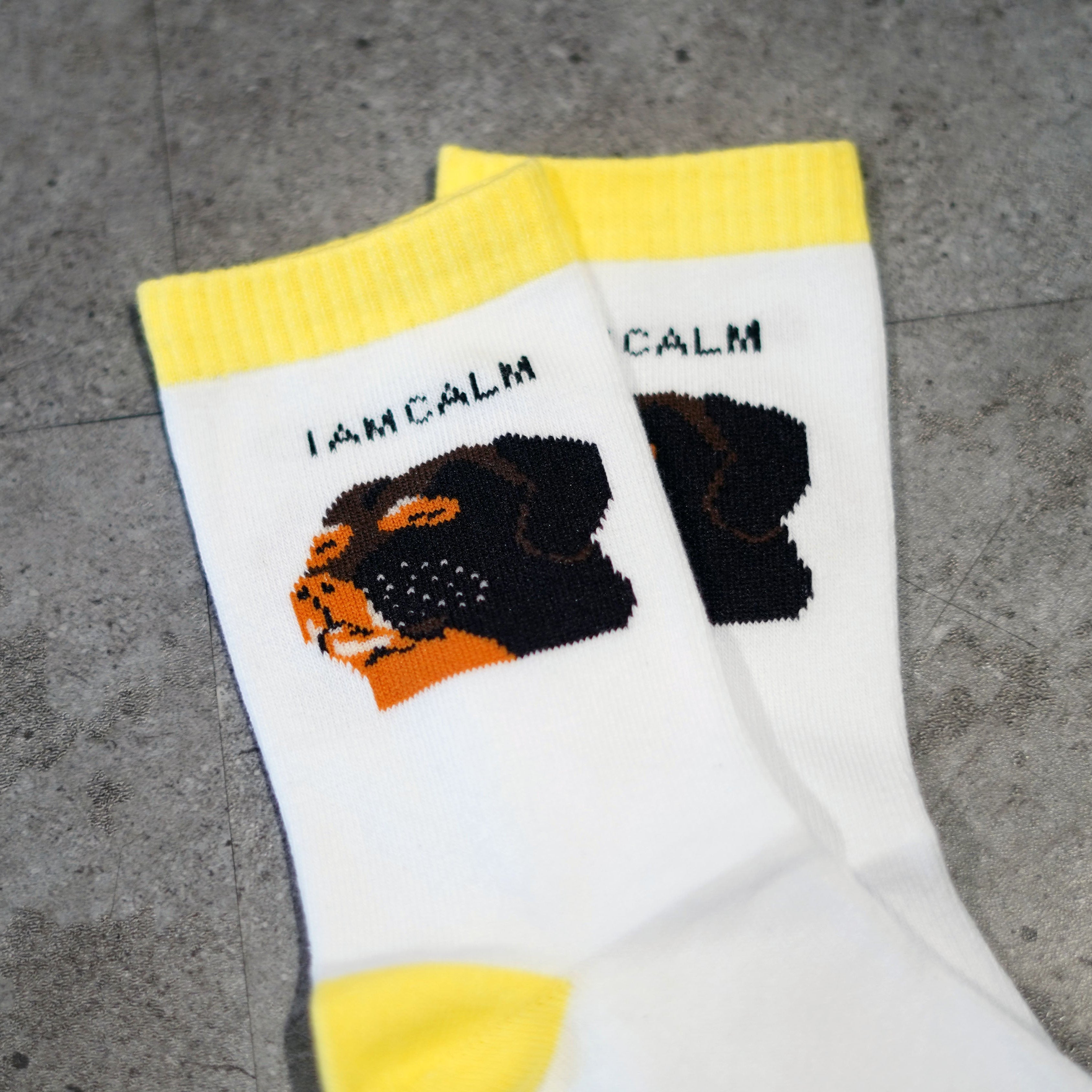 Pair of socks with a design of the relax dog meme with pale yellow trims